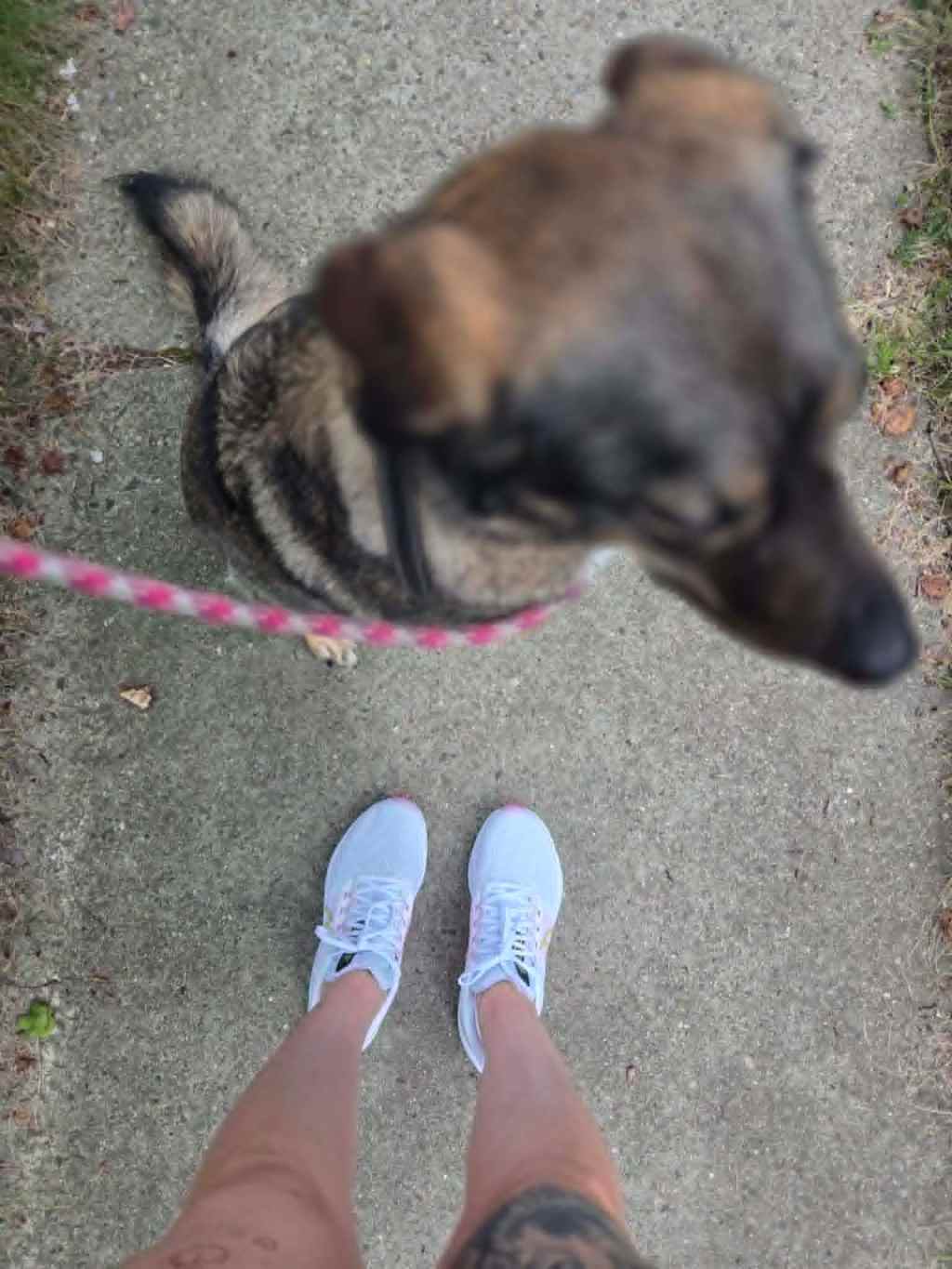 Lessons from Everyday Life: Buy The Shoes